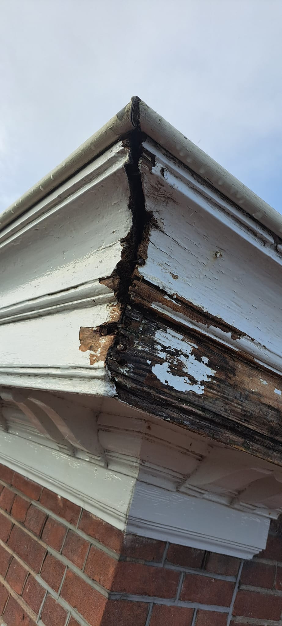 Houtrot reparatie in Den Bosch